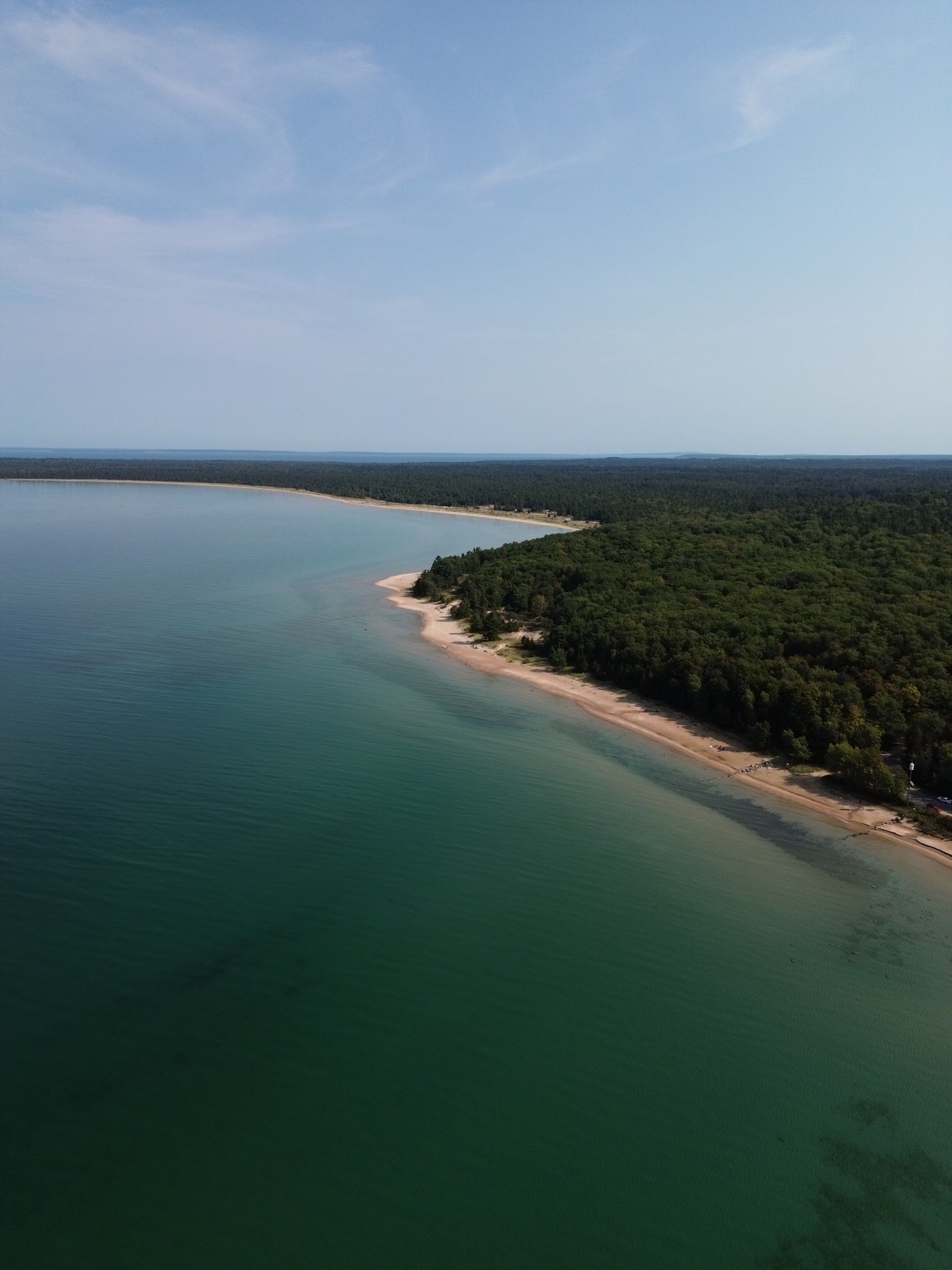 Aerial view of a sandy Lake Michigan beach edged by forest near Bliss, Michigan